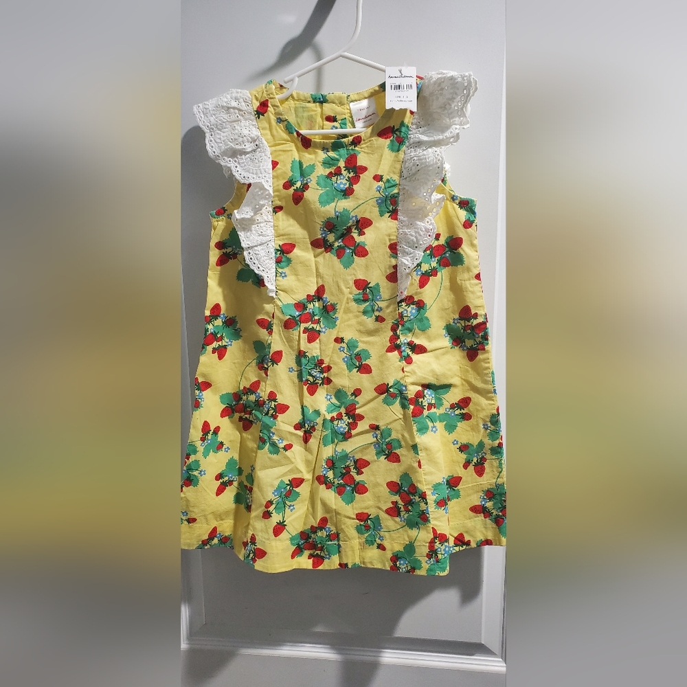 Hanna Anderson Strawberry Dress